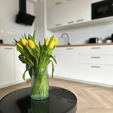 Apartament 55 Апартаменты *