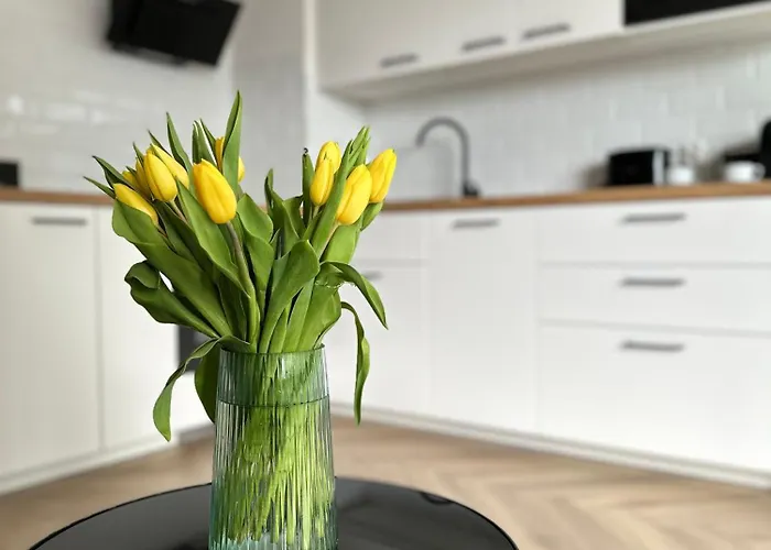 Apartament 55 公寓 *